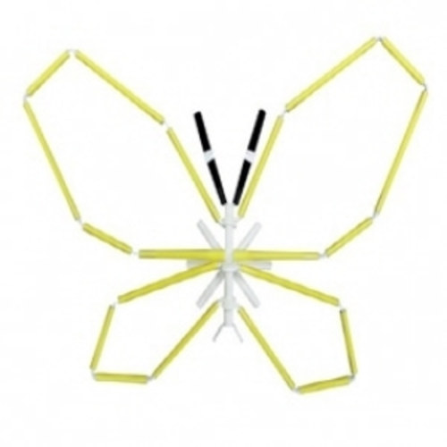 포디프레임 4D 곤충입체-나비