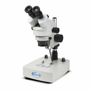 [교육과학] 실체현미경 PAR-ZB45A