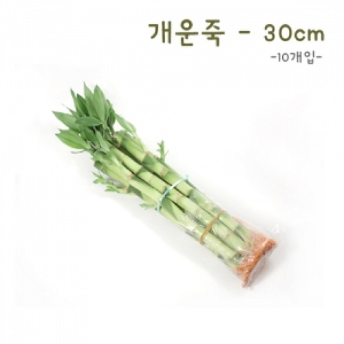 [식물탐구] 수경재배 개운죽 30cm(10개)(반품불가)