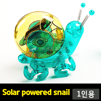 (1인용) 투명 태양광 달팽이 만들기_23642