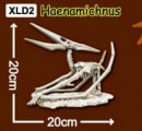 미래바치 한반도공룡뼈발굴(특대형)-해남이쿠스