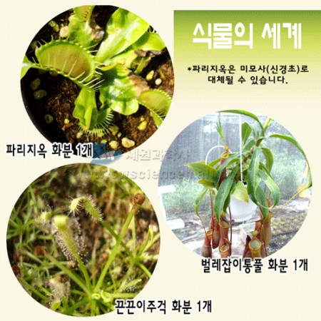 식물의 세계 식충식물 (파리지옥,끈끈이주걱,벌레잡이통풀)