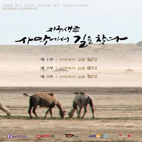 [영상교육] 지구생존사막에서길을찾다-DVD