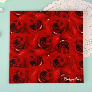 [디자인소품] Red Roses Card
