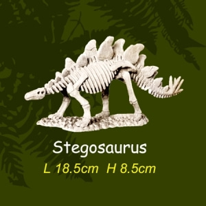 [교육과학] 공룡뼈발굴-스테고사우루스_10232