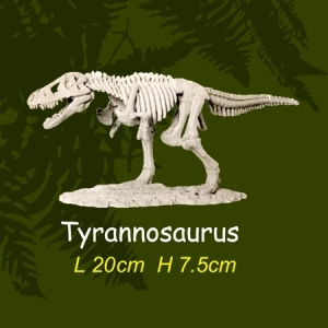 [교육과학] 공룡뼈발굴-(티라노사우루스)_10234