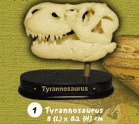 [교육과학] 공룡두개골화석발굴(티라노사우루스)_10237