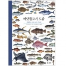 [도서] 세밀화로 그린 보리 바닷물고기 큰도감