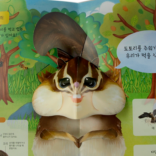 [펀북에듀] 이미경의 팝업 펀북 생태 1단계 8호 귀여운 다람쥐들