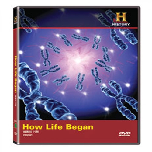 [영상교육] 생명의기원(How Life Began)-DVD