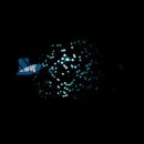 [STEAM과학] LED 별자리 목걸이 만들기 5명1set(동영상) 보고서_01169