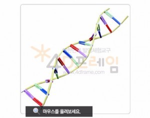 포디프레임 DNA 5