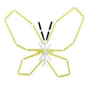 포디프레임 4D 곤충입체-나비