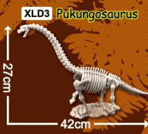 미래바치 한반도공룡뼈발굴(특대형)-부경고사우루스