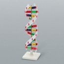 [교육과학] DNA모형D형