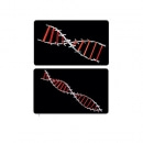 포디프레임 4D 체험용 DNA4