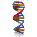 [STEAM과학] DNA 이중나선 모형만들기