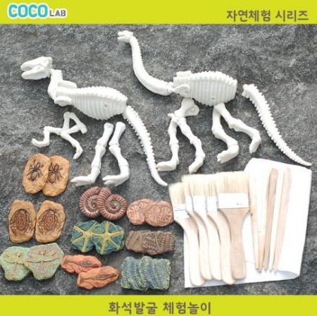 코코랩 화석발굴 체험 놀이 키트_5인용