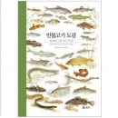 [도서] 세밀화로 그린 보리 민물고기 도감