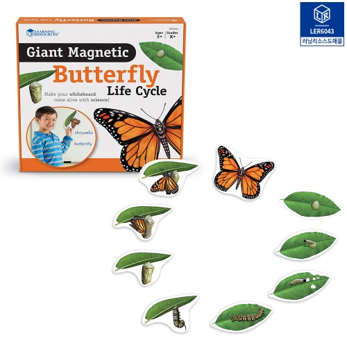 (러닝리소스) LER6043 특대형 자석 나비 한살이 모형 (Giant Magnetic Butterfly Life Cycle)