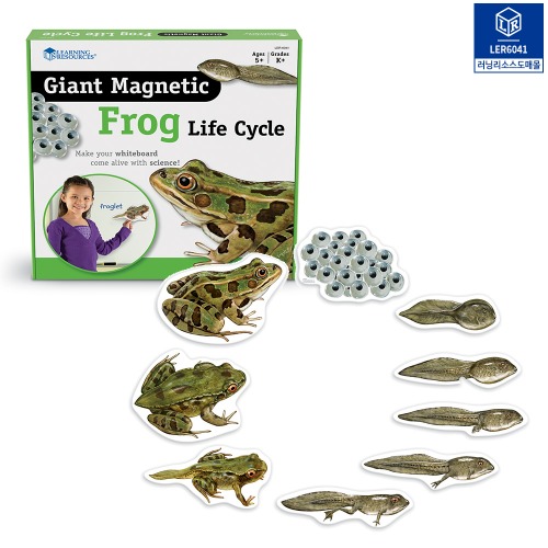 (러닝리소스) LER 6041 특대형 자석 개구리 일생 모형 (Giant Magnetic Frog Life Cycle)